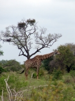 DSC07807.JPG