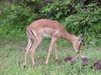 DSC07717.JPG