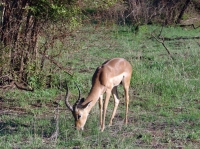 DSC07838.JPG