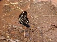 DSC07573.JPG