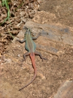 DSC07614.JPG