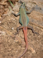 DSC07615.JPG