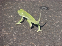 DSC08002.JPG