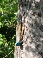 DSC08461.JPG