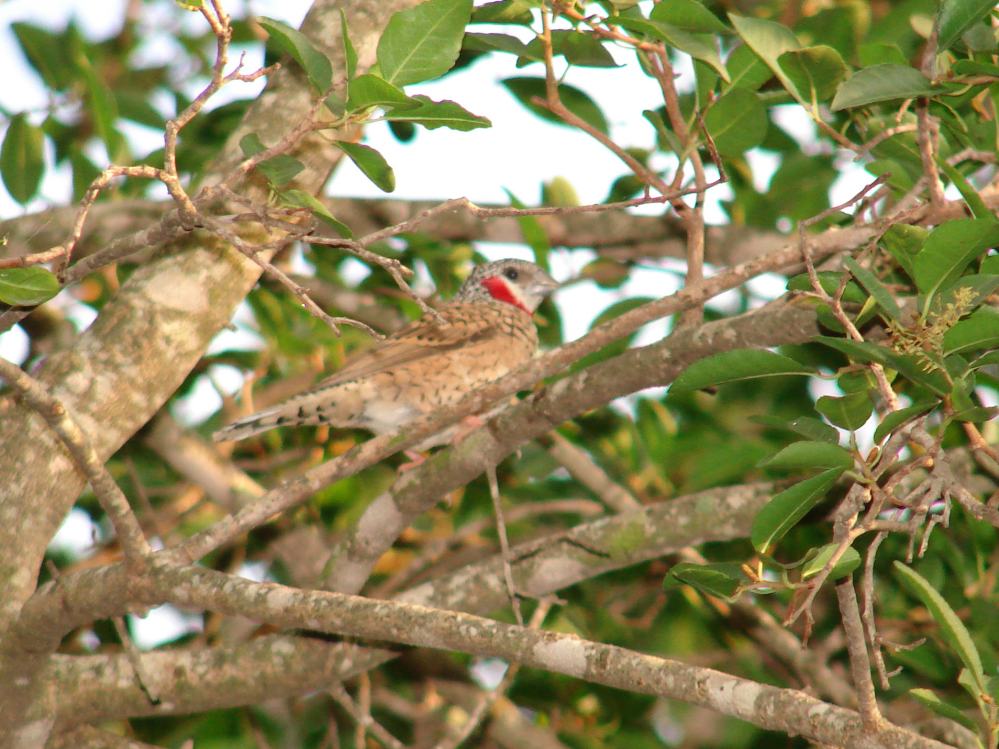 DSC08206.JPG