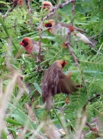 DSC07715.JPG