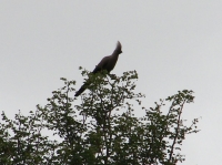 DSC07724.JPG