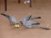 DSC07874.JPG