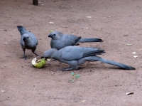 DSC07880.JPG