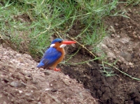 DSC07894.JPG