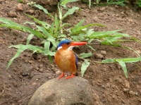 DSC07896.JPG