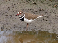 DSC07909.JPG