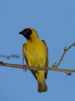 DSC08402.JPG