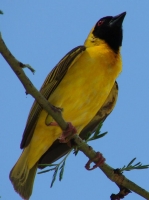 DSC08404.JPG