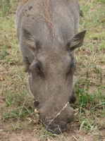 DSC08573.JPG