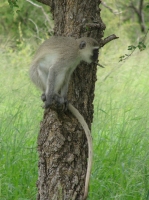 DSC07785.JPG
