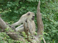 DSC07789.JPG
