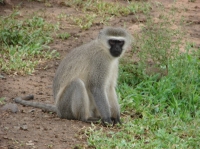 DSC08575.JPG