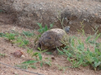 DSC08215.JPG