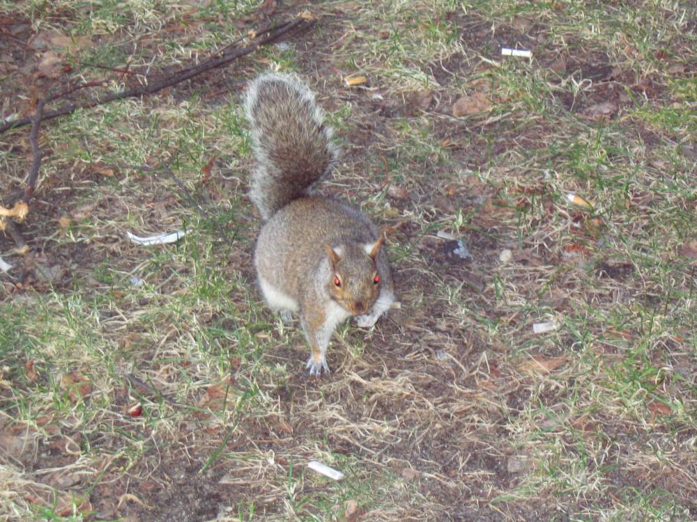 IMG_0002.jpg