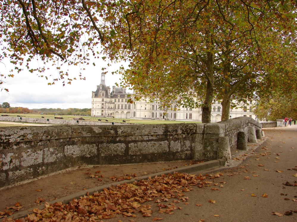 CHATEAU DE CHAMBORD (82).JPG