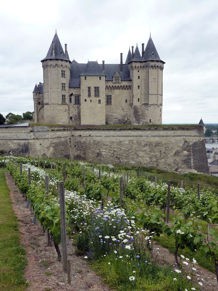 SAUMUR_02.JPG