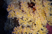 DSC09979 copie.jpg