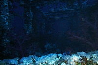 DSC00159 copie.JPG