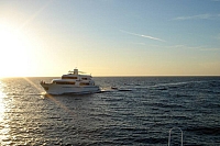 DSC00256 copie.JPG
