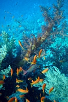 DSC00022 copie.JPG