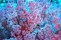 DSC00229.JPG