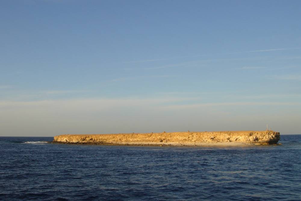 DSC00354 copie.JPG