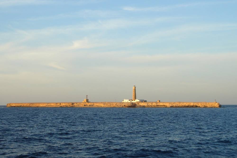 CROISIERE BROTHERS DAEDAELUS ELPHINSTONE (216).JPG