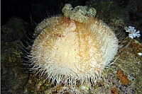 DSC00122.JPG