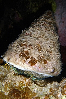 DSC00138 copie.jpg
