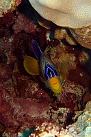 DSC00412 copie.JPG