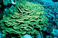 DSC00422 copie.JPG