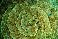 DSC00424 copie.JPG