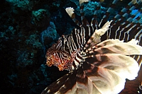 DSC00427 copie.JPG