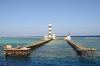 CROISIERE BROTHERS DAEDAELUS ELPHINSTONE (045).JPG