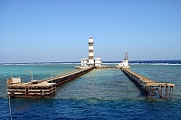 CROISIERE BROTHERS DAEDAELUS ELPHINSTONE (046).jpg