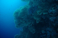CROISIERE BROTHERS DAEDAELUS ELPHINSTONE (097).jpg