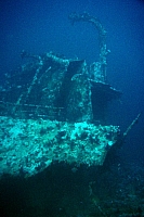 CROISIERE BROTHERS DAEDAELUS ELPHINSTONE (144).JPG