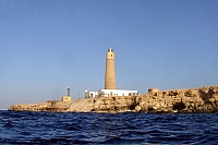 CROISIERE BROTHERS DAEDAELUS ELPHINSTONE (154).JPG