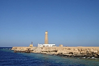 CROISIERE BROTHERS DAEDAELUS ELPHINSTONE (155).JPG