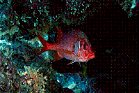DSC09416 copie.JPG