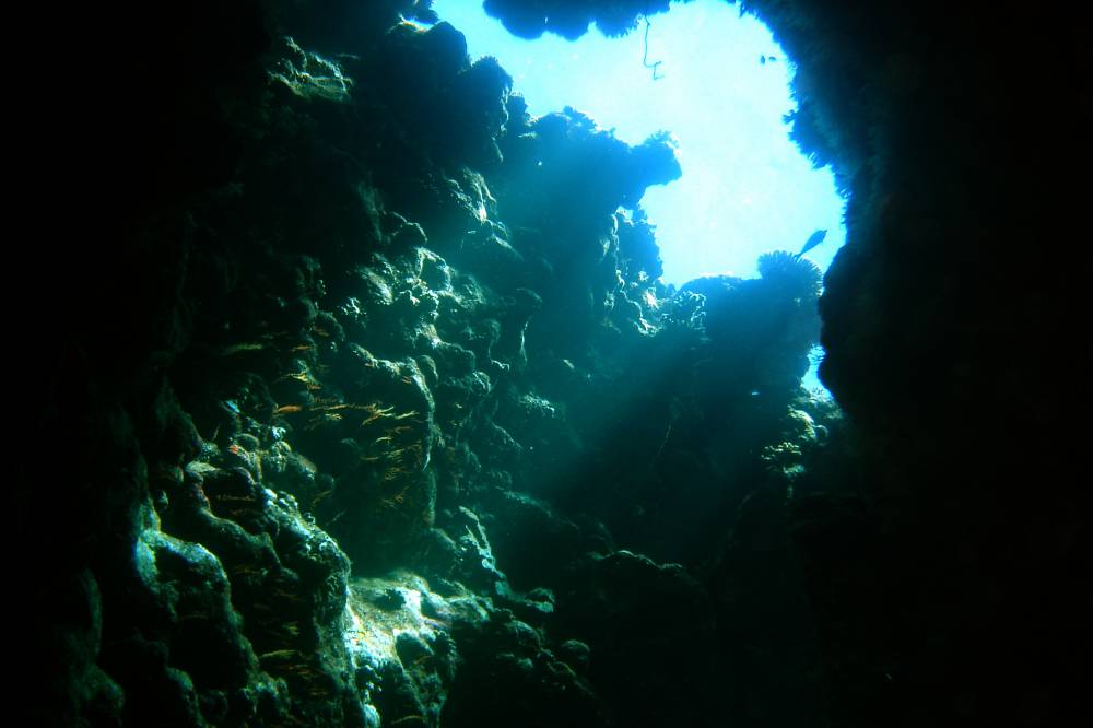 DSC09767.JPG