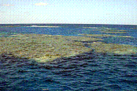 DSC09740 copie.jpg