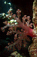 DSC09761 copie.JPG