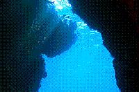 DSC09764 copie.JPG